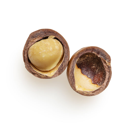 Macadamia Nut - 13 oz